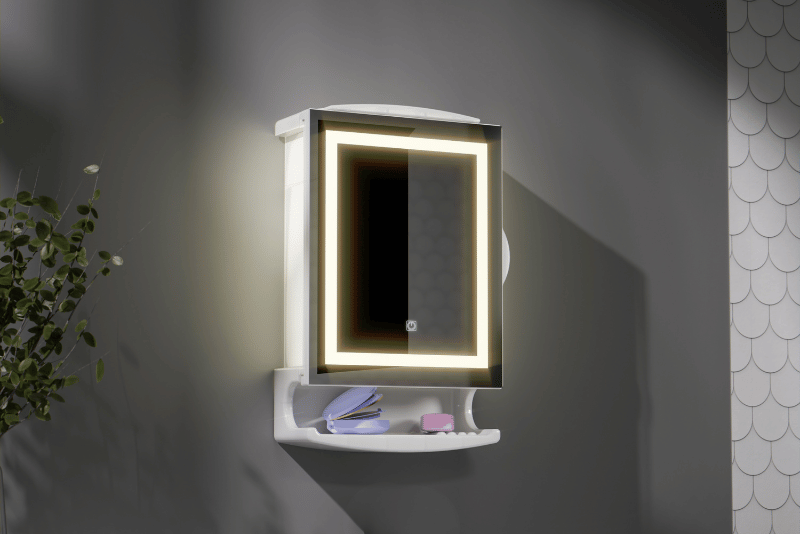 Mirror Cabinet